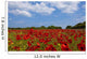A Field Full Of Red Flowers Wall Mural