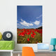 Field Full Of Red Flowers Wall Mural