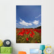 Field Full Of Red Flowers Wall Mural