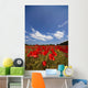 Field Full Of Red Flowers Wall Mural