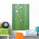 Drops Of Water On A Green Leaf Wall Mural
