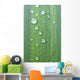 Drops Of Water On A Green Leaf Wall Mural