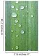Drops Of Water On A Green Leaf Wall Mural