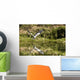 A Grey Heron Landing On Water Wall Mural