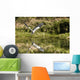 A Grey Heron Landing On Water Wall Mural
