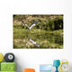 A Grey Heron Landing On Water Wall Mural