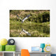 A Grey Heron Landing On Water Wall Mural