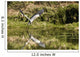 A Grey Heron Landing On Water Wall Mural