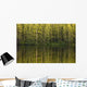 Trees Reflected In The Water Wall Mural