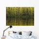 Trees Reflected In The Water Wall Mural