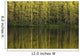 Trees Reflected In The Water Wall Mural