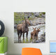 Sow Moose And Calves At Waterton National Park Wall Mural