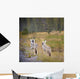 Howling Coyotes Wall Mural
