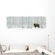 Buffalo Standing Wall Mural