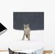 Coyote In Heavy Snowfall In Elk Island National Park Wall Mural