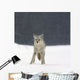Coyote In Heavy Snowfall In Elk Island National Park Wall Mural