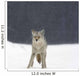 Coyote In Heavy Snowfall In Elk Island National Park Wall Mural