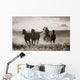 Cowboy Lassoing Horses Wall Mural