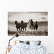 Cowboy Lassoing Horses Wall Mural