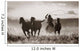 Cowboy Lassoing Horses Wall Mural