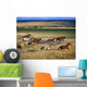 Cowboy Riding With Herd Of Horses Wall Mural