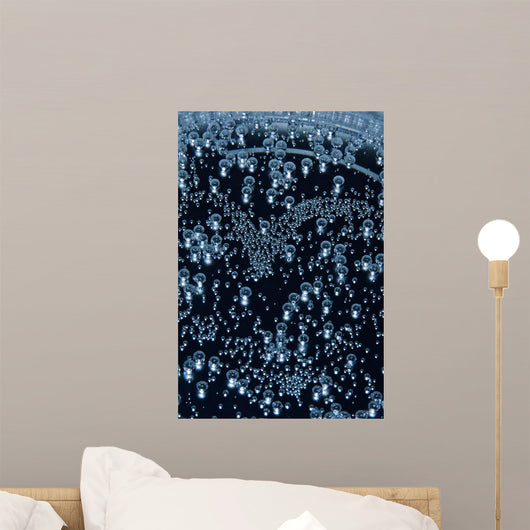 Bubbles Wall Mural
