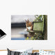 Red Squirrel Sitting On A Bird House Hung On A Tree Trunk Wall Mural