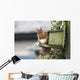 Red Squirrel Sitting On A Bird House Hung On A Tree Trunk Wall Mural