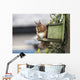 Red Squirrel Sitting On A Bird House Hung On A Tree Trunk Wall Mural