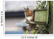 Red Squirrel Sitting On A Bird House Hung On A Tree Trunk Wall Mural