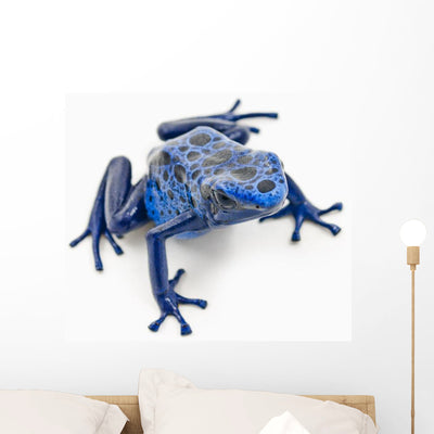 Blue Poison Dart Frog Wall Decal shown on a wall