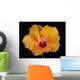 An Orange Hibiscus Wall Mural