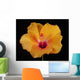 An Orange Hibiscus Wall Mural