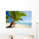 Small palm tree hanging over stunning lagoon Wall Mural