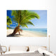 Small palm tree hanging over stunning lagoon Wall Mural