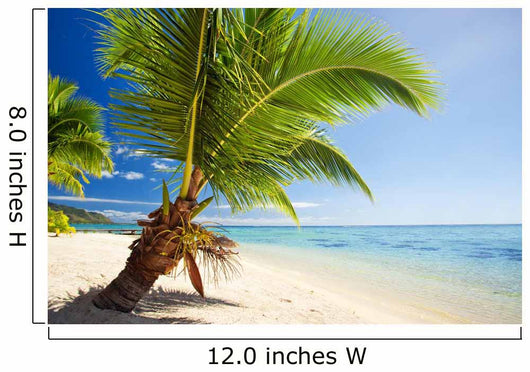 Small palm tree hanging over stunning lagoon Wall Mural