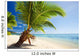 Small palm tree hanging over stunning lagoon Wall Mural