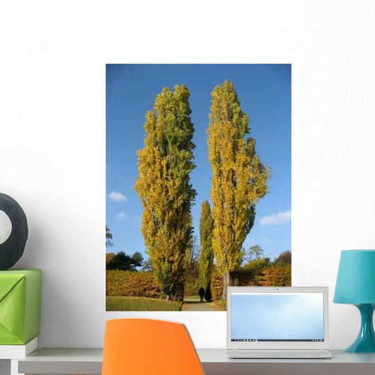 Pappeln im Herbst Wall Decal