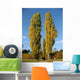 Pappeln im Herbst Wall Decal
