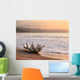 seashell on the beach Wall Mural