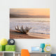 seashell on the beach Wall Mural