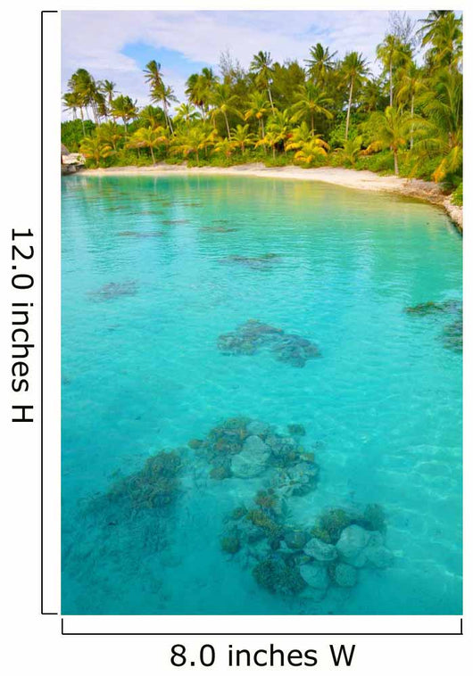 Blue Lagoon