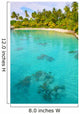 Blue Lagoon