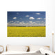 Flowering Canola Field With Clouds Overhead Wall Mural