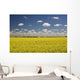 Flowering Canola Field With Clouds Overhead Wall Mural