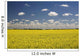 Flowering Canola Field With Clouds Overhead Wall Mural