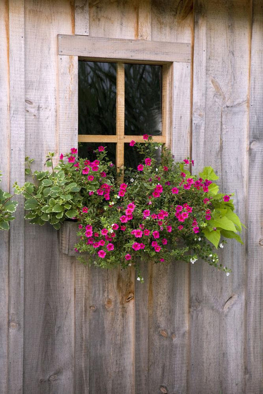 Wooden Shed With A Flower Box Under The Window Wall Mural