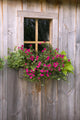 Wooden Shed With A Flower Box Under The Window Wall Mural