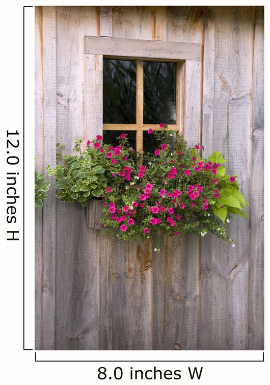 Wooden Shed With A Flower Box Under The Window Wall Mural