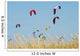 Kites Of Kite Surfers In Front Of Hotel Dos Mares Wall Mural